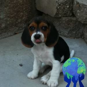 Meet your Posher, Jada